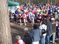 faschingswaldlauf100_2513.jpg