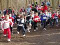 faschingswaldlaufp2170056.jpg